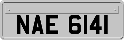 NAE6141