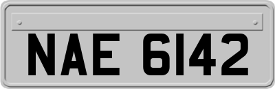 NAE6142