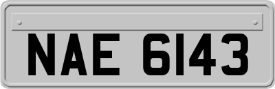 NAE6143