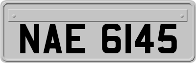 NAE6145