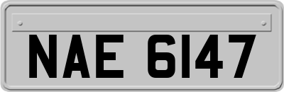 NAE6147