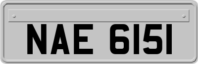 NAE6151