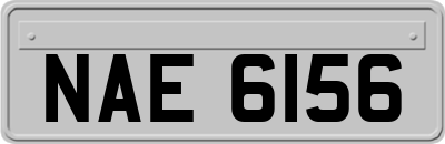 NAE6156