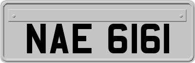 NAE6161