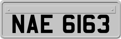 NAE6163