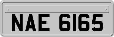 NAE6165