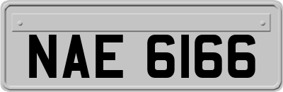 NAE6166