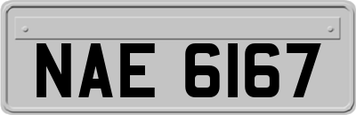 NAE6167