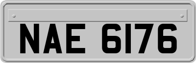 NAE6176