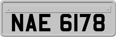 NAE6178