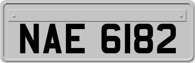 NAE6182