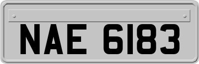 NAE6183