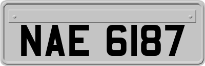 NAE6187