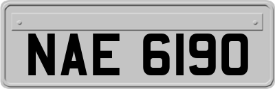 NAE6190