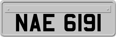 NAE6191