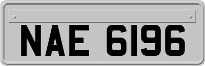 NAE6196