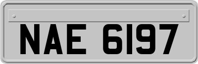 NAE6197