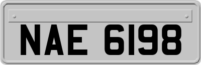 NAE6198