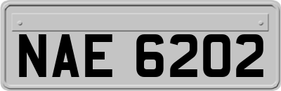 NAE6202