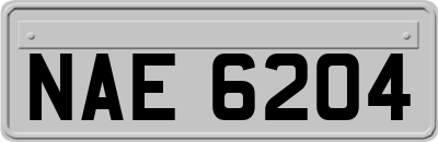 NAE6204