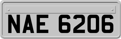 NAE6206