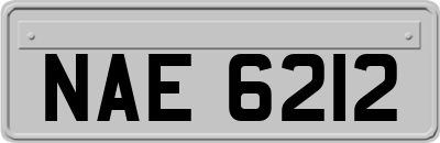 NAE6212