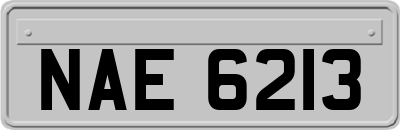 NAE6213