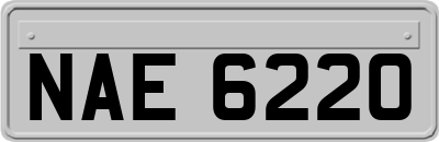 NAE6220