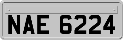 NAE6224