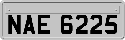 NAE6225