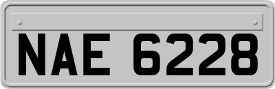 NAE6228