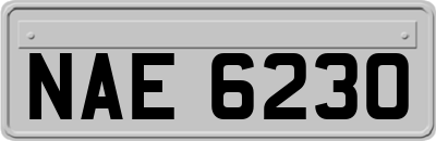 NAE6230