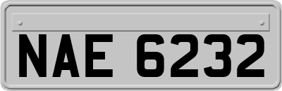 NAE6232