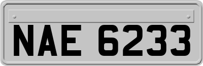 NAE6233