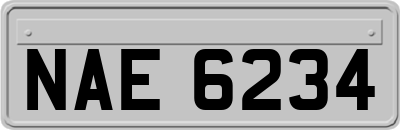 NAE6234