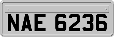 NAE6236