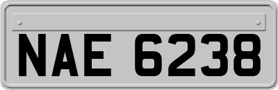 NAE6238