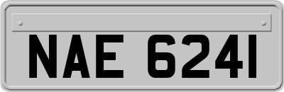 NAE6241