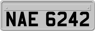 NAE6242