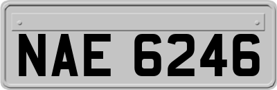 NAE6246