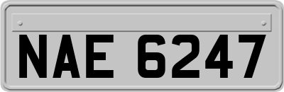 NAE6247