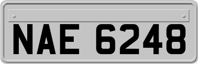 NAE6248