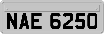 NAE6250