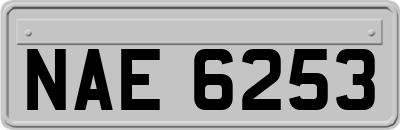 NAE6253