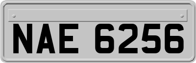 NAE6256