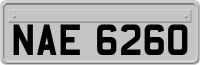 NAE6260