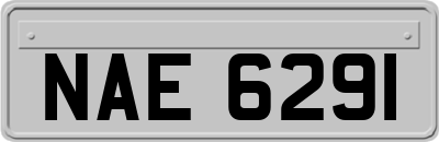 NAE6291