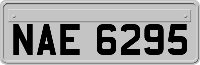 NAE6295