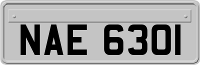 NAE6301