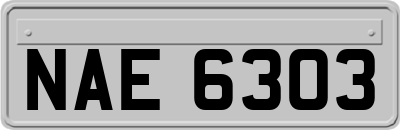 NAE6303